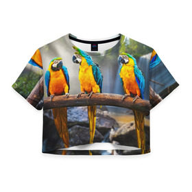 Женская футболка 3D укороченная с принтом Экзотические попугаи в Белгороде, 100% полиэстер | круглая горловина, длина футболки до линии талии, рукава с отворотами | Тематика изображения на принте: джунгли | клюв | острова | перья | попугай | птица | тропики | экзотика