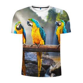 Мужская футболка 3D спортивная с принтом Экзотические попугаи в Белгороде, 100% полиэстер с улучшенными характеристиками | приталенный силуэт, круглая горловина, широкие плечи, сужается к линии бедра | Тематика изображения на принте: джунгли | клюв | острова | перья | попугай | птица | тропики | экзотика