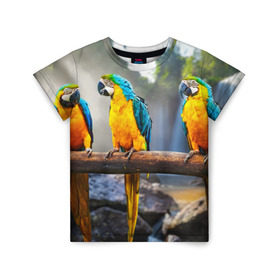 Детская футболка 3D с принтом Экзотические попугаи в Белгороде, 100% гипоаллергенный полиэфир | прямой крой, круглый вырез горловины, длина до линии бедер, чуть спущенное плечо, ткань немного тянется | джунгли | клюв | острова | перья | попугай | птица | тропики | экзотика