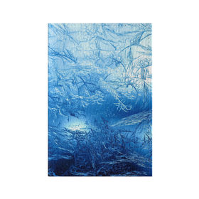 Обложка для паспорта матовая кожа с принтом Иней в Белгороде, натуральная матовая кожа | размер 19,3 х 13,7 см; прозрачные пластиковые крепления | Тематика изображения на принте: зима | иней | наледь | синий | снег