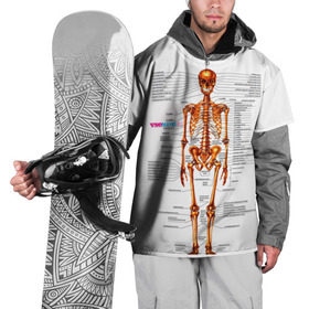 Накидка на куртку 3D с принтом Шпаргалки в Белгороде, 100% полиэстер |  | Тематика изображения на принте: шпаргалка