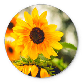 Коврик круглый с принтом Подсолнухи в Белгороде, резина и полиэстер | круглая форма, изображение наносится на всю лицевую часть | лето | подсолнух | солнце | цветы