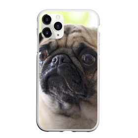 Чехол для iPhone 11 Pro матовый с принтом Мопс в Белгороде, Силикон |  | мопс | мопсы | собака | собаки