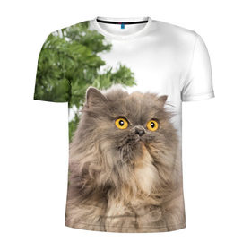Мужская футболка 3D спортивная с принтом Пушистый кот в Белгороде, 100% полиэстер с улучшенными характеристиками | приталенный силуэт, круглая горловина, широкие плечи, сужается к линии бедра | 