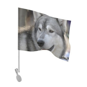 Флаг для автомобиля с принтом Хаски в Белгороде, 100% полиэстер | Размер: 30*21 см | собака | собаки | хаски