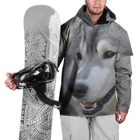 Накидка на куртку 3D с принтом Хаски в Белгороде, 100% полиэстер |  | Тематика изображения на принте: собака | собаки | хаски