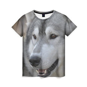 Женская футболка 3D с принтом Хаски в Белгороде, 100% полиэфир ( синтетическое хлопкоподобное полотно) | прямой крой, круглый вырез горловины, длина до линии бедер | собака | собаки | хаски