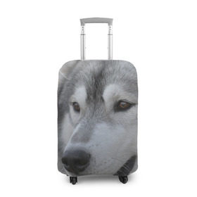 Чехол для чемодана 3D с принтом Хаски в Белгороде, 86% полиэфир, 14% спандекс | двустороннее нанесение принта, прорези для ручек и колес | собака | собаки | хаски
