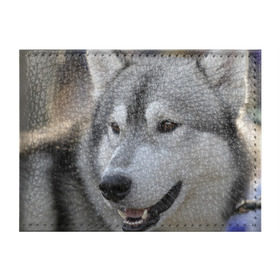 Обложка для студенческого билета с принтом Хаски в Белгороде, натуральная кожа | Размер: 11*8 см; Печать на всей внешней стороне | собака | собаки | хаски