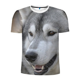 Мужская футболка 3D спортивная с принтом Хаски в Белгороде, 100% полиэстер с улучшенными характеристиками | приталенный силуэт, круглая горловина, широкие плечи, сужается к линии бедра | собака | собаки | хаски