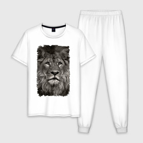 Мужская пижама хлопок с принтом Лев (retro style) в Белгороде, 100% хлопок | брюки и футболка прямого кроя, без карманов, на брюках мягкая резинка на поясе и по низу штанин
 | leo | lion | retro style | ветошь | винтаж | власть | грива | дикая кошка | животное | зверь | клыки | когти | король джунглей | лев | мощь | мудрость | охотник | потёртости | сила | старина | хитрость | хищник