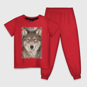 Детская пижама хлопок с принтом Волк (retro style) в Белгороде, 100% хлопок |  брюки и футболка прямого кроя, без карманов, на брюках мягкая резинка на поясе и по низу штанин
 | retro style | wolf | ветошь | взгляд | винтаж | волк | волчара | добыча | жертва | животное | зверь | лик | опасность | охотник | потёртости | санитар леса | серый | старина | хищник | царапины