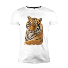 Мужская футболка премиум с принтом Тигр (retro style) в Белгороде, 92% хлопок, 8% лайкра | приталенный силуэт, круглый вырез ворота, длина до линии бедра, короткий рукав | tiger | дикая кошка | тигр | хищник