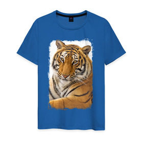 Мужская футболка хлопок с принтом Тигр (retro style) в Белгороде, 100% хлопок | прямой крой, круглый вырез горловины, длина до линии бедер, слегка спущенное плечо. | Тематика изображения на принте: tiger | дикая кошка | тигр | хищник