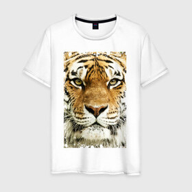 Мужская футболка хлопок с принтом Тигр (retro style) в Белгороде, 100% хлопок | прямой крой, круглый вырез горловины, длина до линии бедер, слегка спущенное плечо. | Тематика изображения на принте: tiger | дикая кошка | тигр | хищник
