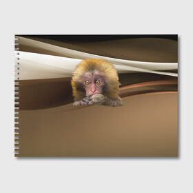 Альбом для рисования с принтом Мартышка в Белгороде, 100% бумага
 | матовая бумага, плотность 200 мг. | голова животного | мартышка | обезьяна | прикольные картинки