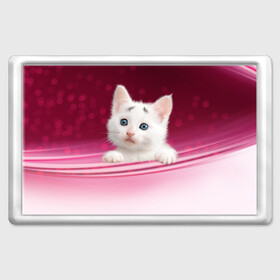 Магнит 45*70 с принтом Белый котёнок в Белгороде, Пластик | Размер: 78*52 мм; Размер печати: 70*45 | Тематика изображения на принте: киска | кот | котёнок | кошка | прикольные картинки