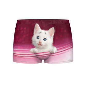 Мужские трусы 3D с принтом Белый котёнок в Белгороде, 50% хлопок, 50% полиэстер | классическая посадка, на поясе мягкая тканевая резинка | Тематика изображения на принте: киска | кот | котёнок | кошка | прикольные картинки