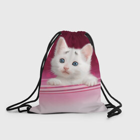 Рюкзак-мешок 3D с принтом Белый котёнок в Белгороде, 100% полиэстер | плотность ткани — 200 г/м2, размер — 35 х 45 см; лямки — толстые шнурки, застежка на шнуровке, без карманов и подкладки | киска | кот | котёнок | кошка | прикольные картинки