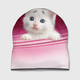Шапка 3D с принтом Белый котёнок в Белгороде, 100% полиэстер | универсальный размер, печать по всей поверхности изделия | киска | кот | котёнок | кошка | прикольные картинки
