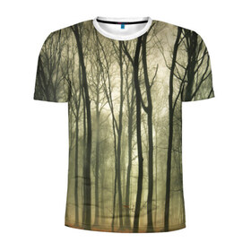 Мужская футболка 3D спортивная с принтом Чарующий лес в Белгороде, 100% полиэстер с улучшенными характеристиками | приталенный силуэт, круглая горловина, широкие плечи, сужается к линии бедра | красиво | лес | природа | фото