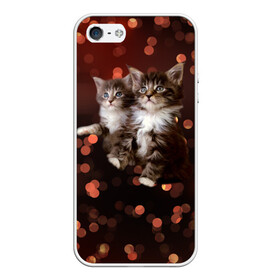 Чехол для iPhone 5/5S матовый с принтом Котята в Белгороде, Силикон | Область печати: задняя сторона чехла, без боковых панелей | киска | кот | котёнок | кошка | прикольные картинки