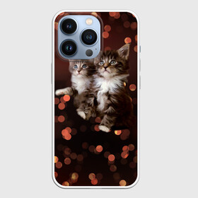 Чехол для iPhone 13 Pro с принтом Котята в Белгороде,  |  | киска | кот | котёнок | кошка | прикольные картинки
