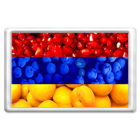 Магнит 45*70 с принтом Флаг Армении в Белгороде, Пластик | Размер: 78*52 мм; Размер печати: 70*45 | Тематика изображения на принте: армения | гранат | персик | слива | страны | флаг армении | фрукты