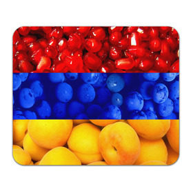 Коврик прямоугольный с принтом Флаг Армении в Белгороде, натуральный каучук | размер 230 х 185 мм; запечатка лицевой стороны | армения | гранат | персик | слива | страны | флаг армении | фрукты