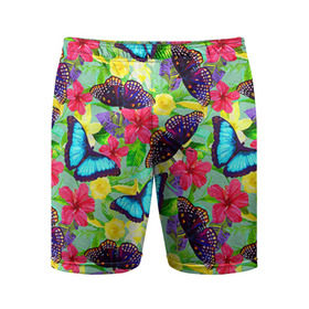 Мужские шорты 3D спортивные с принтом Summer Butterflies в Белгороде,  |  | Тематика изображения на принте: бабочки | лето | пестрый | разноцветный