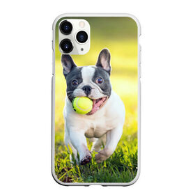 Чехол для iPhone 11 Pro Max матовый с принтом Бульдог в Белгороде, Силикон |  | бульдог | лето | мячик | радость | собака | солнце