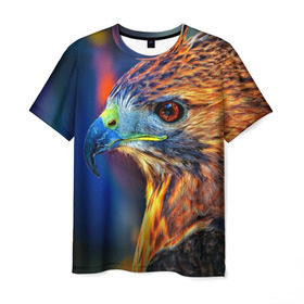 Мужская футболка 3D с принтом Сокол в Белгороде, 100% полиэфир | прямой крой, круглый вырез горловины, длина до линии бедер | клылья | клюв | орел | птица | сокол