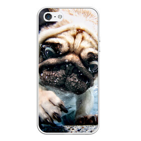 Чехол для iPhone 5/5S матовый с принтом Мопс в Белгороде, Силикон | Область печати: задняя сторона чехла, без боковых панелей | animal | breed | bubbles | diving | dog | eyes bulging | pug | water | вода | выпученные | глаза | животное | мопс | ныряет | порода | пузыри | собака