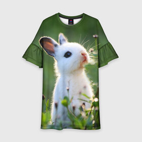 Детское платье 3D с принтом Кролик в Белгороде, 100% полиэстер | прямой силуэт, чуть расширенный к низу. Круглая горловина, на рукавах — воланы | Тематика изображения на принте: animal | baby | cute | flowers | fluffy | hare | lawn | little | meadow | rabbit | животное | заяц | кролик | луг | лужайка | маленький | малыш | милый | пушистый | цветы