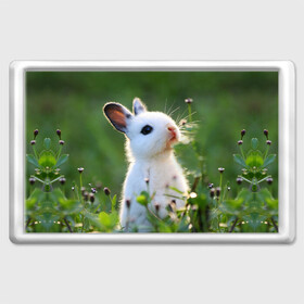 Магнит 45*70 с принтом Кролик в Белгороде, Пластик | Размер: 78*52 мм; Размер печати: 70*45 | Тематика изображения на принте: animal | baby | cute | flowers | fluffy | hare | lawn | little | meadow | rabbit | животное | заяц | кролик | луг | лужайка | маленький | малыш | милый | пушистый | цветы