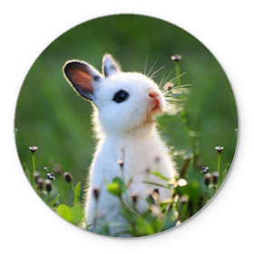 Коврик круглый с принтом Кролик в Белгороде, резина и полиэстер | круглая форма, изображение наносится на всю лицевую часть | animal | baby | cute | flowers | fluffy | hare | lawn | little | meadow | rabbit | животное | заяц | кролик | луг | лужайка | маленький | малыш | милый | пушистый | цветы