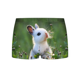 Мужские трусы 3D с принтом Кролик в Белгороде, 50% хлопок, 50% полиэстер | классическая посадка, на поясе мягкая тканевая резинка | animal | baby | cute | flowers | fluffy | hare | lawn | little | meadow | rabbit | животное | заяц | кролик | луг | лужайка | маленький | малыш | милый | пушистый | цветы
