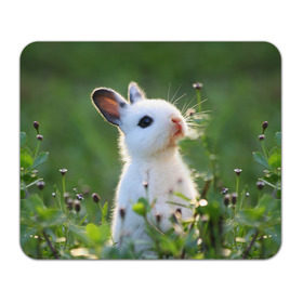 Коврик прямоугольный с принтом Кролик в Белгороде, натуральный каучук | размер 230 х 185 мм; запечатка лицевой стороны | animal | baby | cute | flowers | fluffy | hare | lawn | little | meadow | rabbit | животное | заяц | кролик | луг | лужайка | маленький | малыш | милый | пушистый | цветы