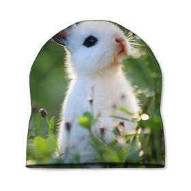Шапка 3D с принтом Кролик в Белгороде, 100% полиэстер | универсальный размер, печать по всей поверхности изделия | animal | baby | cute | flowers | fluffy | hare | lawn | little | meadow | rabbit | животное | заяц | кролик | луг | лужайка | маленький | малыш | милый | пушистый | цветы