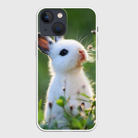 Чехол для iPhone 13 mini с принтом Кролик в Белгороде,  |  | animal | baby | cute | flowers | fluffy | hare | lawn | little | meadow | rabbit | животное | заяц | кролик | луг | лужайка | маленький | малыш | милый | пушистый | цветы