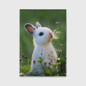 Обложка для автодокументов с принтом Кролик в Белгороде, натуральная кожа |  размер 19,9*13 см; внутри 4 больших “конверта” для документов и один маленький отдел — туда идеально встанут права | Тематика изображения на принте: animal | baby | cute | flowers | fluffy | hare | lawn | little | meadow | rabbit | животное | заяц | кролик | луг | лужайка | маленький | малыш | милый | пушистый | цветы