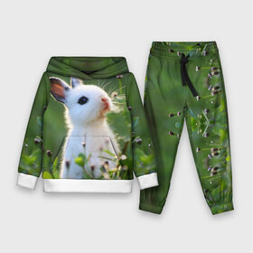 Детский костюм 3D (с толстовкой) с принтом Кролик в Белгороде,  |  | animal | baby | cute | flowers | fluffy | hare | lawn | little | meadow | rabbit | животное | заяц | кролик | луг | лужайка | маленький | малыш | милый | пушистый | цветы