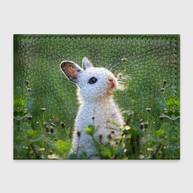 Обложка для студенческого билета с принтом Кролик в Белгороде, натуральная кожа | Размер: 11*8 см; Печать на всей внешней стороне | Тематика изображения на принте: animal | baby | cute | flowers | fluffy | hare | lawn | little | meadow | rabbit | животное | заяц | кролик | луг | лужайка | маленький | малыш | милый | пушистый | цветы