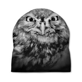 Шапка 3D с принтом Сова в Белгороде, 100% полиэстер | универсальный размер, печать по всей поверхности изделия | beak | bird | eyes | fear | hypnosis | look | night | owl | predator | взгляд | гипноз | глаза | клюв | ночь | птица | сова | хищник