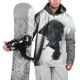 Накидка на куртку 3D с принтом щенок Кане Корсо в Белгороде, 100% полиэстер |  | animal | black | break | breed | dog | kid | paper | puppy | tear | torn | дог | животное | малыш | порода | прорыв | разрыв | рваная | собака | черный | щенок