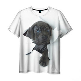 Мужская футболка 3D с принтом щенок Кане Корсо в Белгороде, 100% полиэфир | прямой крой, круглый вырез горловины, длина до линии бедер | animal | black | break | breed | dog | kid | paper | puppy | tear | torn | дог | животное | малыш | порода | прорыв | разрыв | рваная | собака | черный | щенок