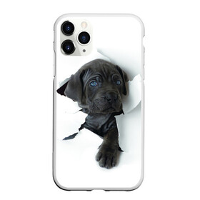 Чехол для iPhone 11 Pro матовый с принтом щенок Кане Корсо в Белгороде, Силикон |  | animal | black | break | breed | dog | kid | paper | puppy | tear | torn | дог | животное | малыш | порода | прорыв | разрыв | рваная | собака | черный | щенок