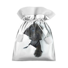 Подарочный 3D мешок с принтом щенок Кане Корсо в Белгороде, 100% полиэстер | Размер: 29*39 см | animal | black | break | breed | dog | kid | paper | puppy | tear | torn | дог | животное | малыш | порода | прорыв | разрыв | рваная | собака | черный | щенок