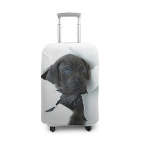 Чехол для чемодана 3D с принтом щенок Кане Корсо в Белгороде, 86% полиэфир, 14% спандекс | двустороннее нанесение принта, прорези для ручек и колес | animal | black | break | breed | dog | kid | paper | puppy | tear | torn | дог | животное | малыш | порода | прорыв | разрыв | рваная | собака | черный | щенок