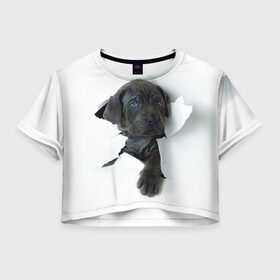 Женская футболка 3D укороченная с принтом щенок Кане Корсо в Белгороде, 100% полиэстер | круглая горловина, длина футболки до линии талии, рукава с отворотами | animal | black | break | breed | dog | kid | paper | puppy | tear | torn | дог | животное | малыш | порода | прорыв | разрыв | рваная | собака | черный | щенок